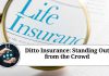 Ditto Insurance: Standing Out from the Crowd