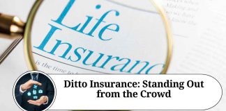 Ditto Insurance: Standing Out from the Crowd
