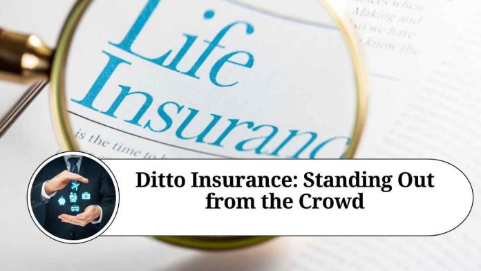 Ditto Insurance: Standing Out from the Crowd