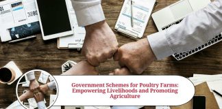 poultry farm government scheme