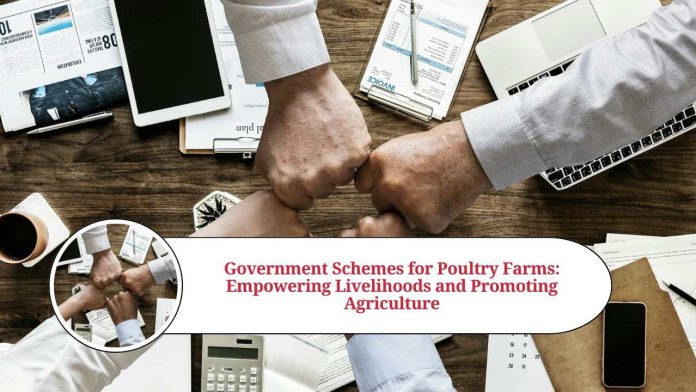 poultry farm government scheme