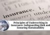 Principles of Underwriting in Insurance: Safeguarding Risk and Ensuring Sustainability