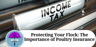 Protecting Your Flock: The Importance of Poultry Insurance