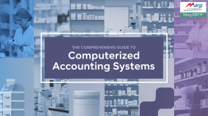 Computerized Accounting Systems