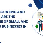 Why Accounting and Auditing are the Backbone of Small and Growing Businesses in India.
